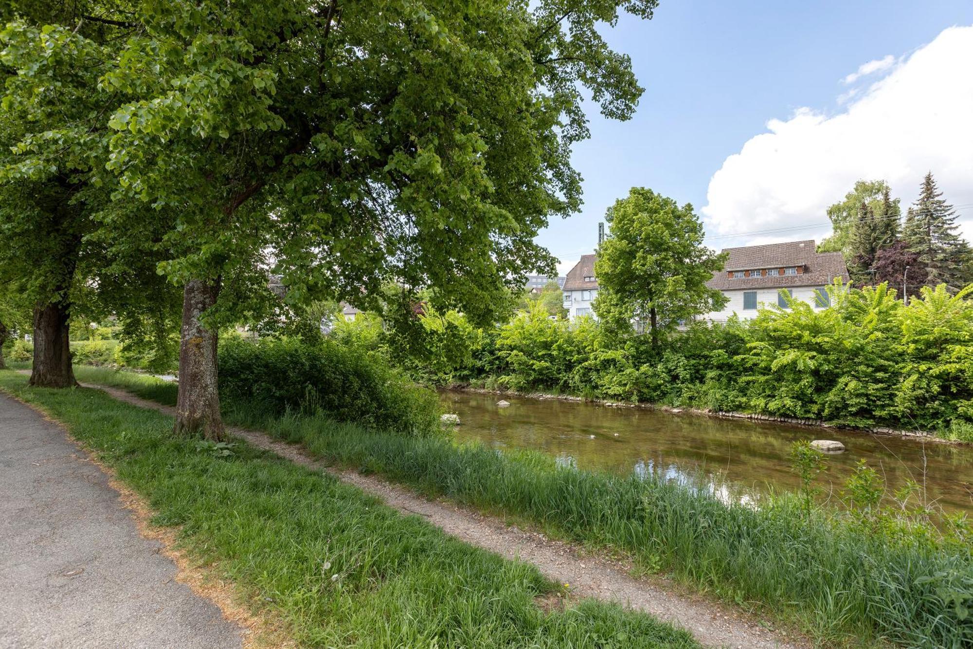 Ferienwohnung An Der Brigach Donaueschingen Eksteriør billede